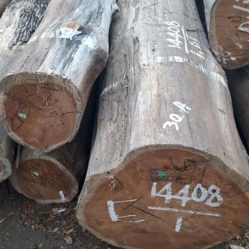 kayu-jati-tpk-perhutani kayu-jati-tpk-perhutani